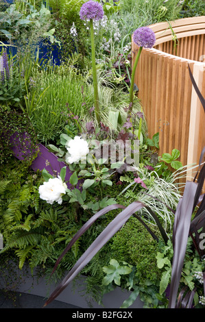 Chelsea Flower Show 2008 Il Velluto trapuntato Garden Designer: James Towillis, con Pietro Biggs (impianto) Foto Stock