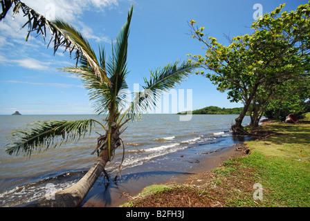 Costa sopravento, Hawaii. Foto Stock