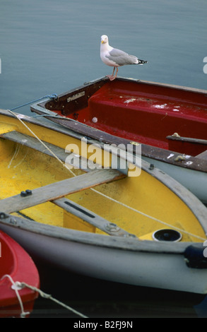 barca Foto Stock