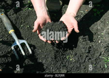 Manciata di organico nero terreno giardino USA Foto Stock