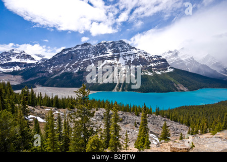 Il Lago Peyto visto dal Vertice di prua nel Parco Nazionale di Banff in Canada su un soleggiato giugno data Foto Stock