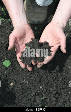 Manciata di organico nero terreno giardino USA Foto Stock