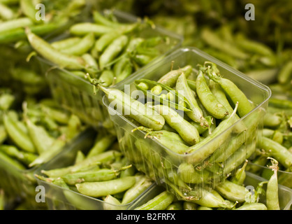 Zucchero organico snap piselli per la vendita in un mercato degli agricoltori Foto Stock