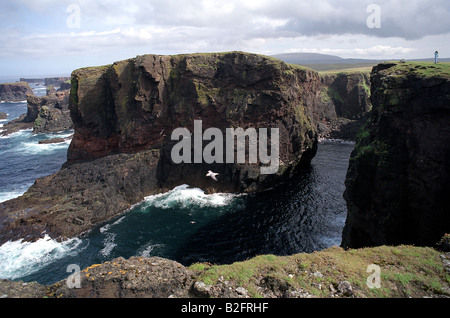 Esha Ness cliff è situato sulla penisola di Northmavine nel nord-ovest delle Isole Shetland, Scozia. Foto Stock