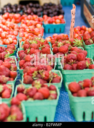 Organici di fragole e ciliege per la vendita in un mercato degli agricoltori Foto Stock