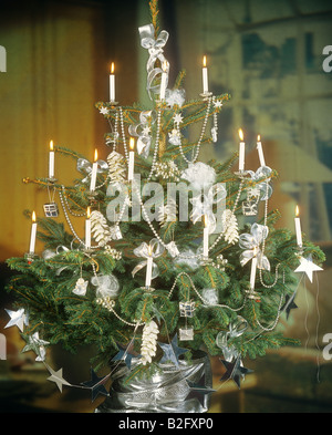 Albero di Natale con candele accese Foto Stock