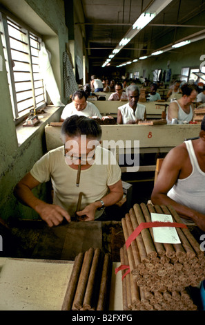 Uomini al lavoro e il fumo di sigaretta in un sigaro fabbrica di rotolamento a Pinar del Rio Cuba Foto Stock