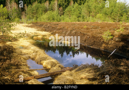 Traunstein : Demel Filz Germania Foto Stock