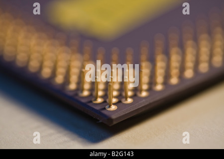 CPU AMD,Perni & contatti Foto Stock