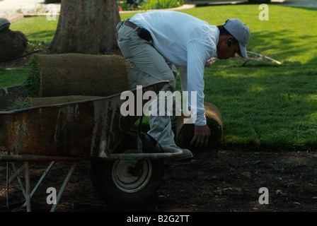 Workman stabilisce i rotoli di erba fresca zolla ,l'erba del prato, durante la costruzione di un prato davanti a una casa in California. Foto Stock