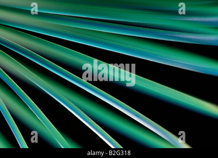 Abstract vista ravvicinata di un 'Slinky' toy Foto Stock