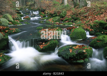 Kleine ohe torrente di montagna np parco nazionale della foresta bavarese Baviera Germania Foto Stock