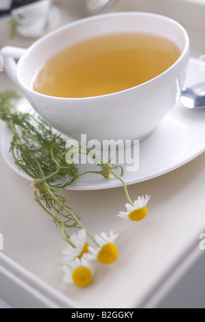 Tazza di tè camomilla con ciuffi di camomilla Foto Stock