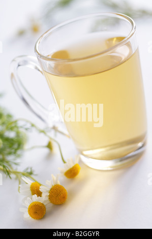 Tazza di tè camomilla con ciuffi di camomilla Foto Stock