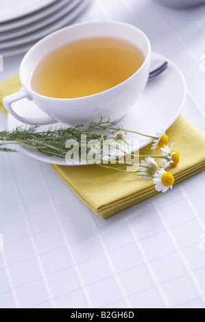 Tazza di tè camomilla con ciuffi di camomilla Foto Stock