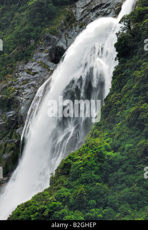 Bowen cade Milford Sound fiordland np parco nazionale di sud ovest della Nuova Zelanda cascata Foto Stock