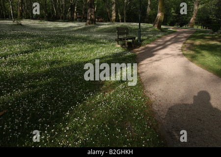 Grecia Macedonia Naousa Agios Nikolaos Saint Nicolas Park formata dal fiume Arapitsa Foto Stock