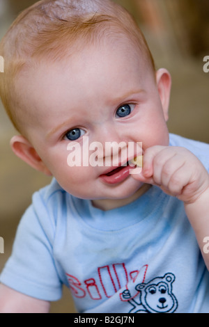 Piccolo Ragazzo di mangiare un francese di Fry e fissando Foto Stock