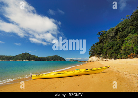 Anchorage Torrent Bay spiaggia da sogno Abel Tasman np ocean nuova zelanda parco nazionale di Nelson regione vacanza Foto Stock