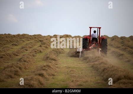 Il contadino seduto su un Massey Ferguson 185 vecchio trattore tirando un haymaker allegato in un campo di fieno rendendo la contea di Down Foto Stock