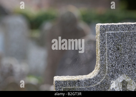 Spider Web sulla vecchia croce vecchie lapidi nel cimitero di grayabbey contea di Down Irlanda del Nord Foto Stock