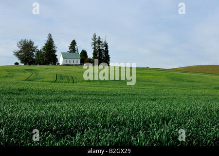 La chiesa, il Palouse, Genesee, Idaho (Latah County), STATI UNITI Foto Stock