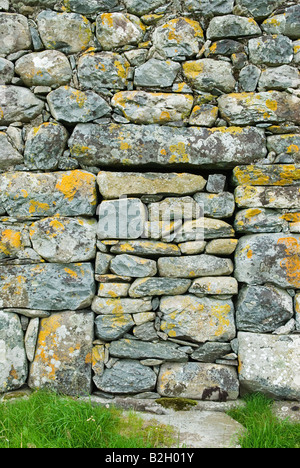 Tradizionale antica fattoria in pietra edificio Snowdonia National Park Gwynedd UK 2008 costa occidentale del Galles del Nord Foto Stock