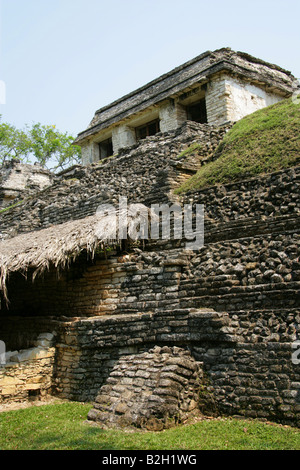 Rovine Maya a Palenque sito archeologico, Chiapas, Messico Foto Stock