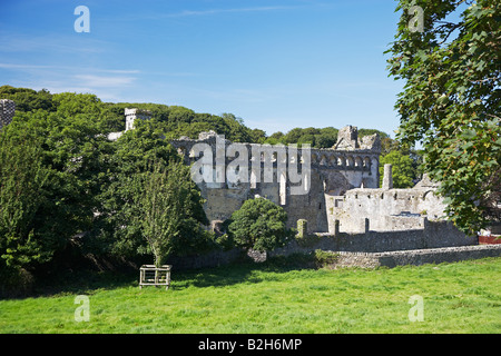 Palazzo dei Vescovi a St David la Cattedrale di St David's Pembrokeshire, West Wales, Regno Unito Foto Stock