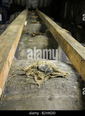 Invecchiamento Glenmorangie whisky Foto Stock