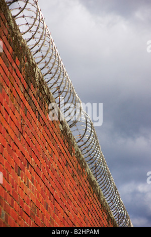 Filo di rasoio sulla parte superiore di una parete Foto Stock