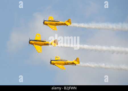 Il canadese Harvard Aerobatic Team presso il Rochester NY International Air Show. Foto Stock