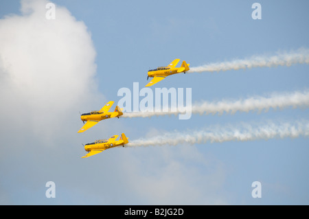 Il canadese Harvard Aerobatic Team presso il Rochester NY International Air Show. Foto Stock