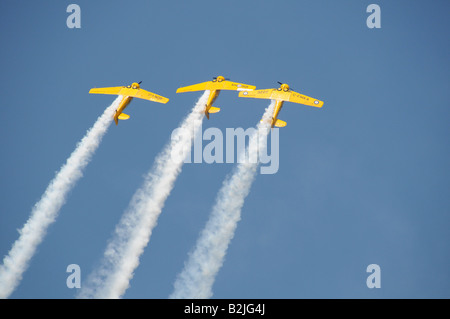 Il canadese Harvard Aerobatic Team presso il Rochester NY International Air Show. Foto Stock