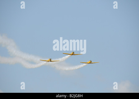 Il canadese Harvard Aerobatic Team presso il Rochester NY International Air Show. Foto Stock