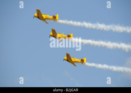 Il canadese Harvard Aerobatic Team presso il Rochester NY International Air Show. Foto Stock