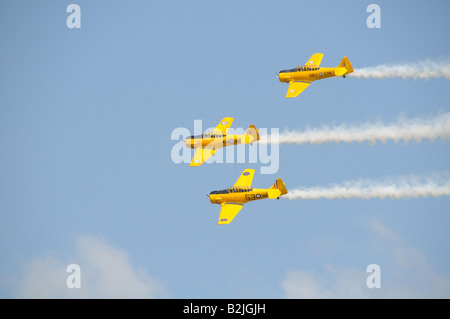 Il canadese Harvard Aerobatic Team presso il Rochester NY International Air Show. Foto Stock