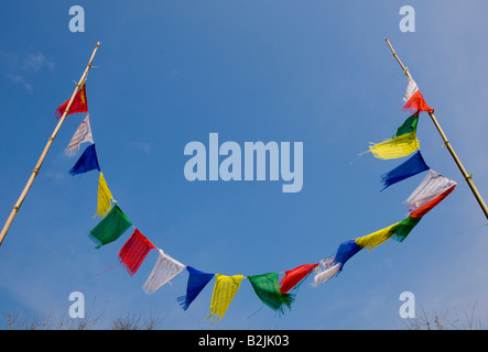Bandiere colorate vicino alla spiaggia Foto Stock