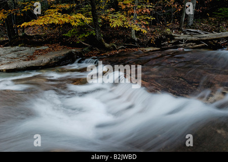 Cascata sul fiume Pemigewasset nei pressi del bacino in Franconia Notch State Park Grafton County New Hampshire Foto Stock