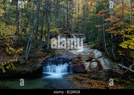 Cascata sul fiume Pemigewasset nel bacino in Franconia Notch State Park Grafton County New Hampshire Foto Stock