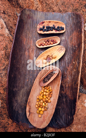 Aboriginal bush tucker, outback Australia Foto Stock