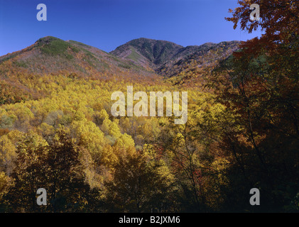 Geografia / viaggi, USA, Tennessee, Great Smoky Mountains National Park, montare le conte, Additional-Rights-Clearance-Info-Not-Available Foto Stock