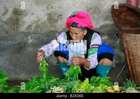 Yi donna presso il mercato del bestiame a Yuanyang, Yunnan in Cina. Foto Stock