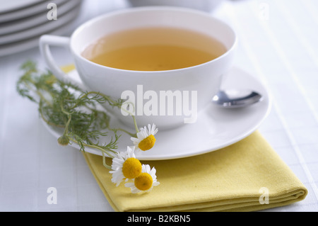 Tazza di tè camomilla con ciuffi di camomilla Foto Stock