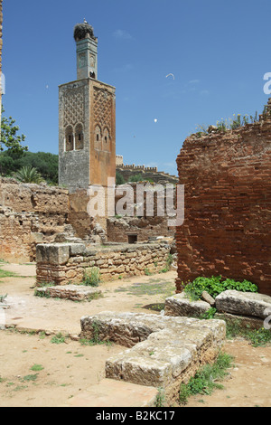 Un minareto in rovina nella necropoli di Chellah, Rabat, Marocco Foto Stock