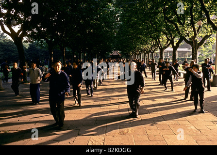 Persona che fa TAI CHI Pechino CINA Foto Stock