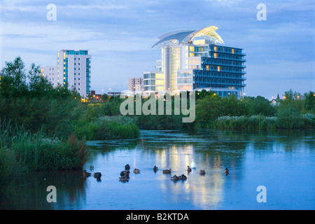 Le zone umide per la Baia di Cardiff Foto Stock