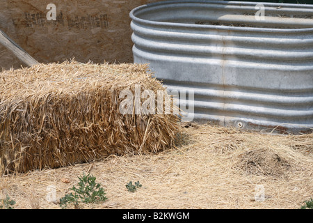 Balle di fieno e trogolo di acqua Foto Stock