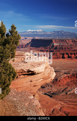 Splendide vedute di Canyonlands a Las Sal Mountains Foto Stock
