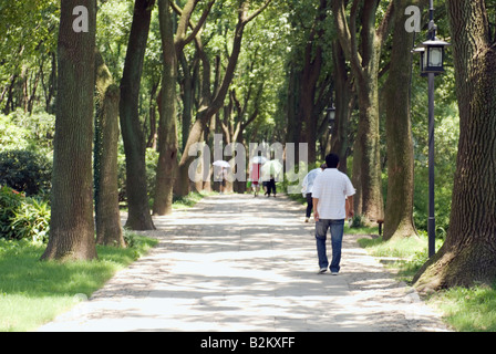 Cina, Suzhou, gente camminare lungo viale alberato percorso in collina della tigre Foto Stock